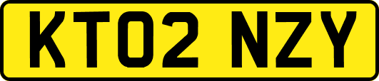 KT02NZY