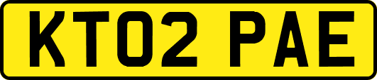 KT02PAE