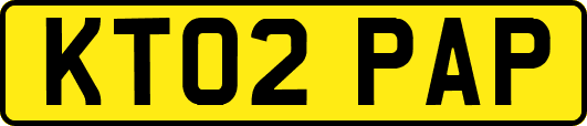 KT02PAP