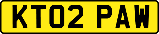 KT02PAW