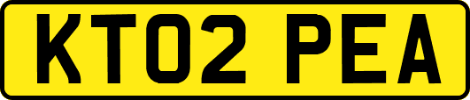 KT02PEA