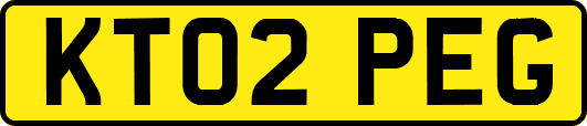 KT02PEG