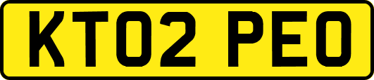 KT02PEO