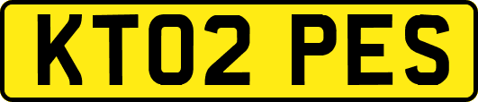 KT02PES