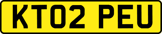 KT02PEU