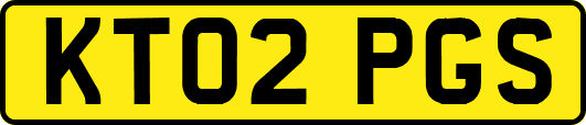 KT02PGS