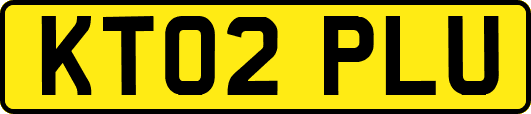KT02PLU