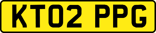 KT02PPG