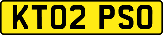 KT02PSO