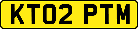 KT02PTM
