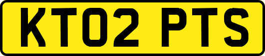 KT02PTS