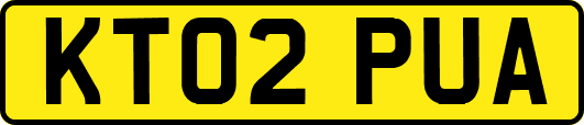 KT02PUA
