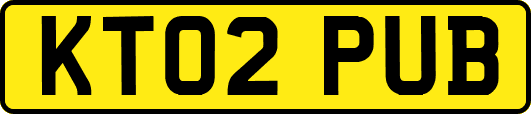 KT02PUB