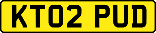 KT02PUD