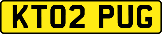 KT02PUG