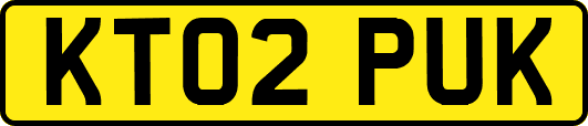 KT02PUK