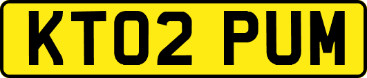 KT02PUM