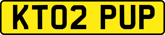 KT02PUP
