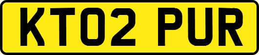 KT02PUR