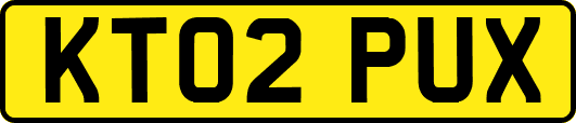 KT02PUX