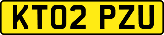 KT02PZU