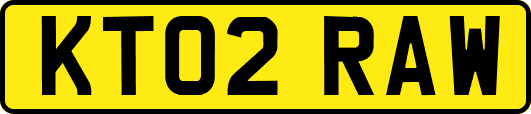 KT02RAW