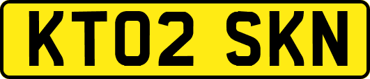 KT02SKN