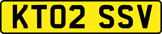 KT02SSV