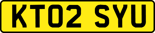 KT02SYU