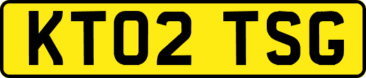 KT02TSG