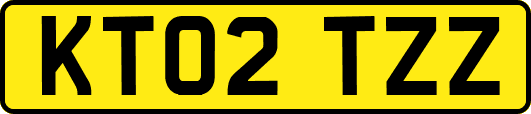 KT02TZZ