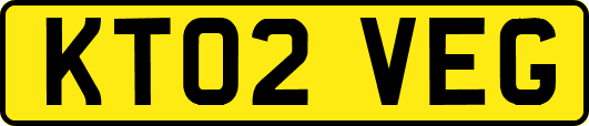 KT02VEG