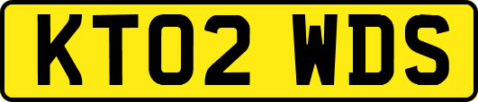 KT02WDS
