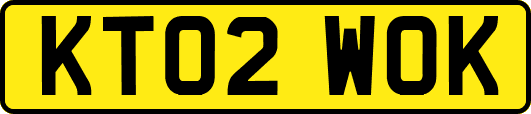 KT02WOK
