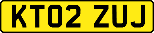 KT02ZUJ