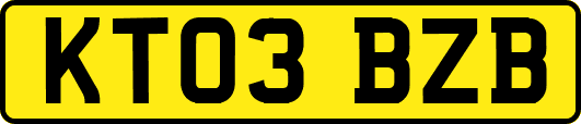 KT03BZB