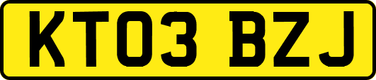 KT03BZJ
