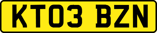 KT03BZN