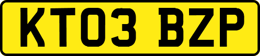 KT03BZP
