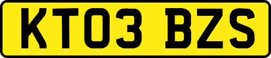 KT03BZS