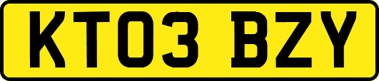 KT03BZY
