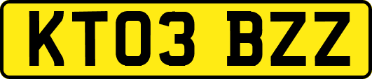 KT03BZZ