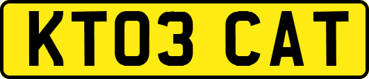 KT03CAT