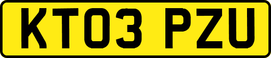 KT03PZU