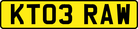 KT03RAW