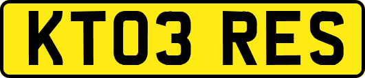 KT03RES