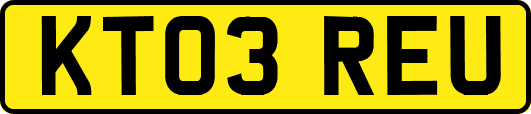 KT03REU