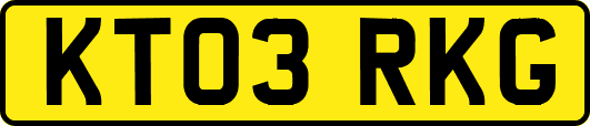 KT03RKG