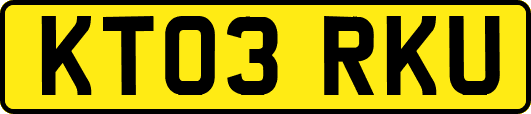 KT03RKU