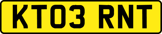KT03RNT